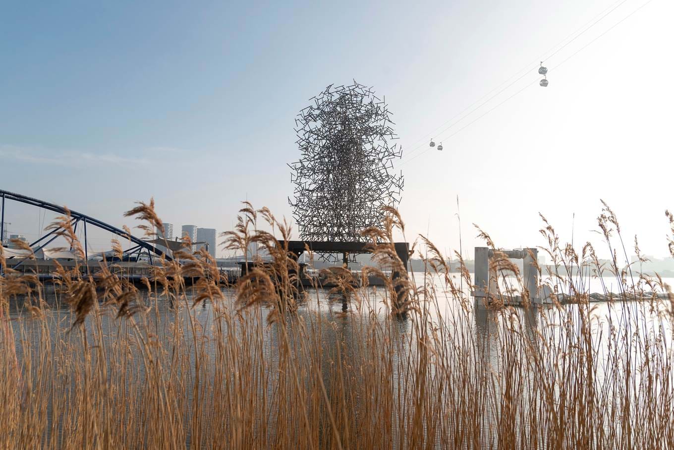 The Line (Emily Lovell)