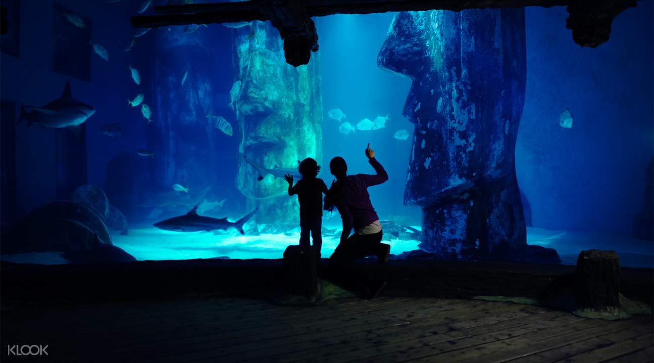 Sealifelondonaquarium