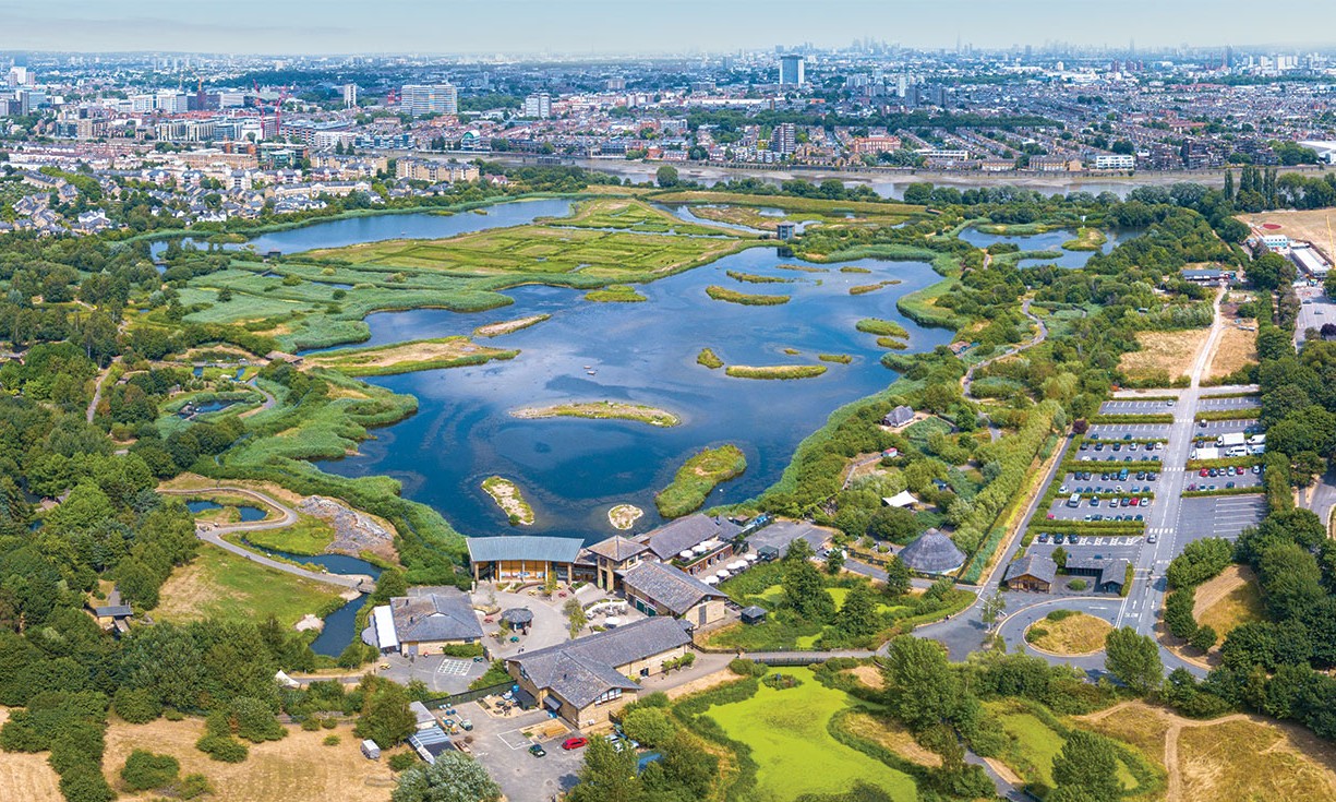 Wwt London Wetland Centre